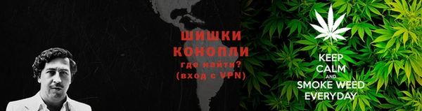 дмт Надым