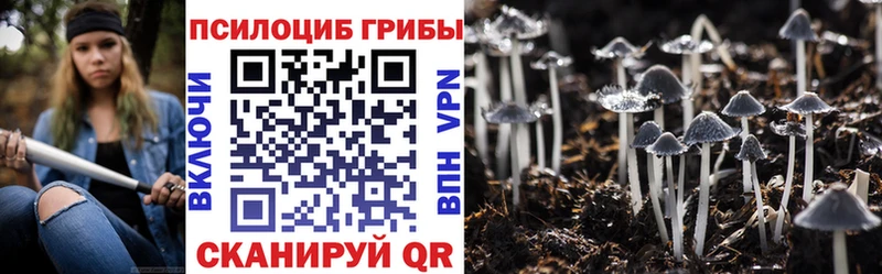 наркотики  mega ONION  Псилоцибиновые грибы прущие грибы  Набережные Челны 