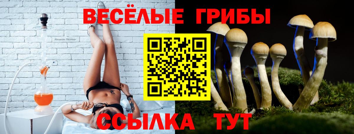 Набережные Челны  Галлюциногенные грибы Cubensis  Псилоцибиновые грибы Cubensis  Вход с VPN 